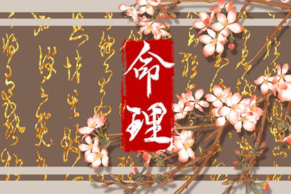 2025老黄历黄道吉日查询|老黄历查询2025|老黄历2025年查询