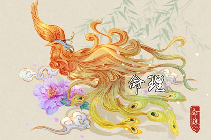老皇历,老皇历查询,择吉老皇历